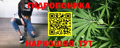 мескалин Кингисепп