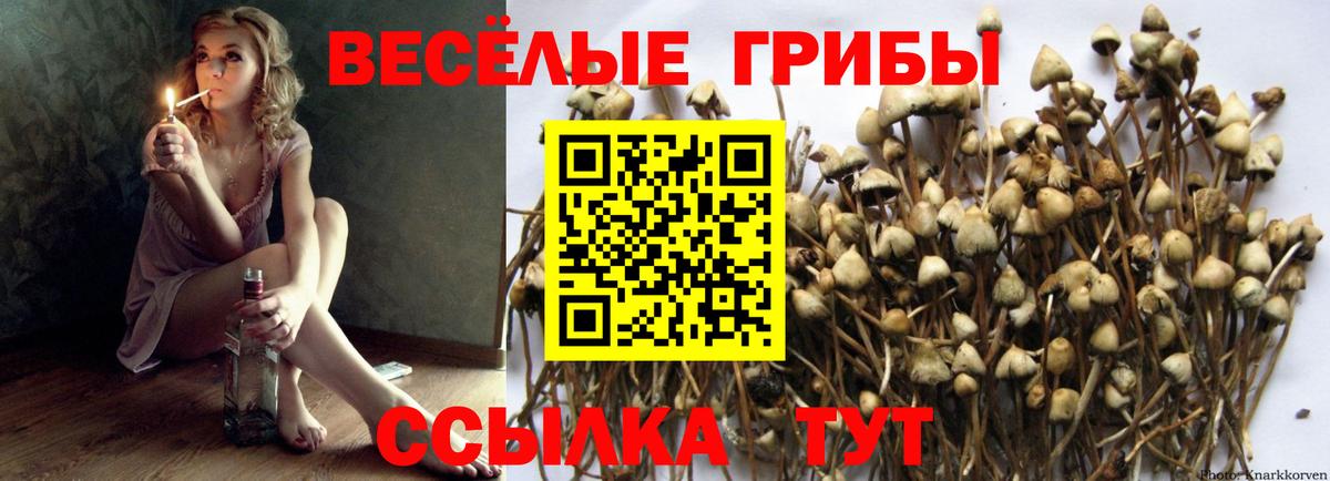Галлюциногенные грибы GOLDEN TEACHER  Вход с VPN  Галлюциногенные грибы Psilocybe  Изобильный 