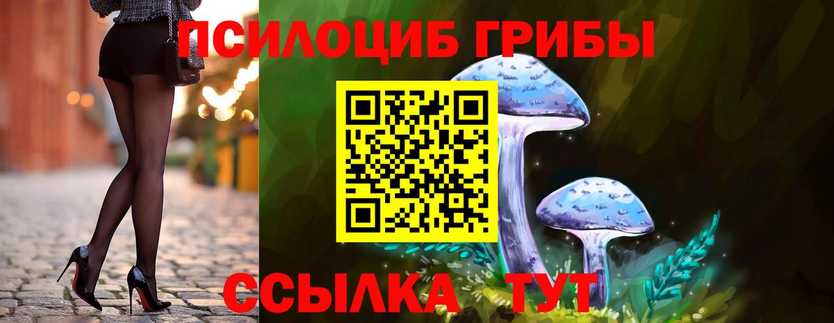 Псилоцибиновые грибы GOLDEN TEACHER Изобильный